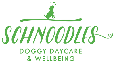Schnoodles Doggy Daycare & Wellbeing, original logo